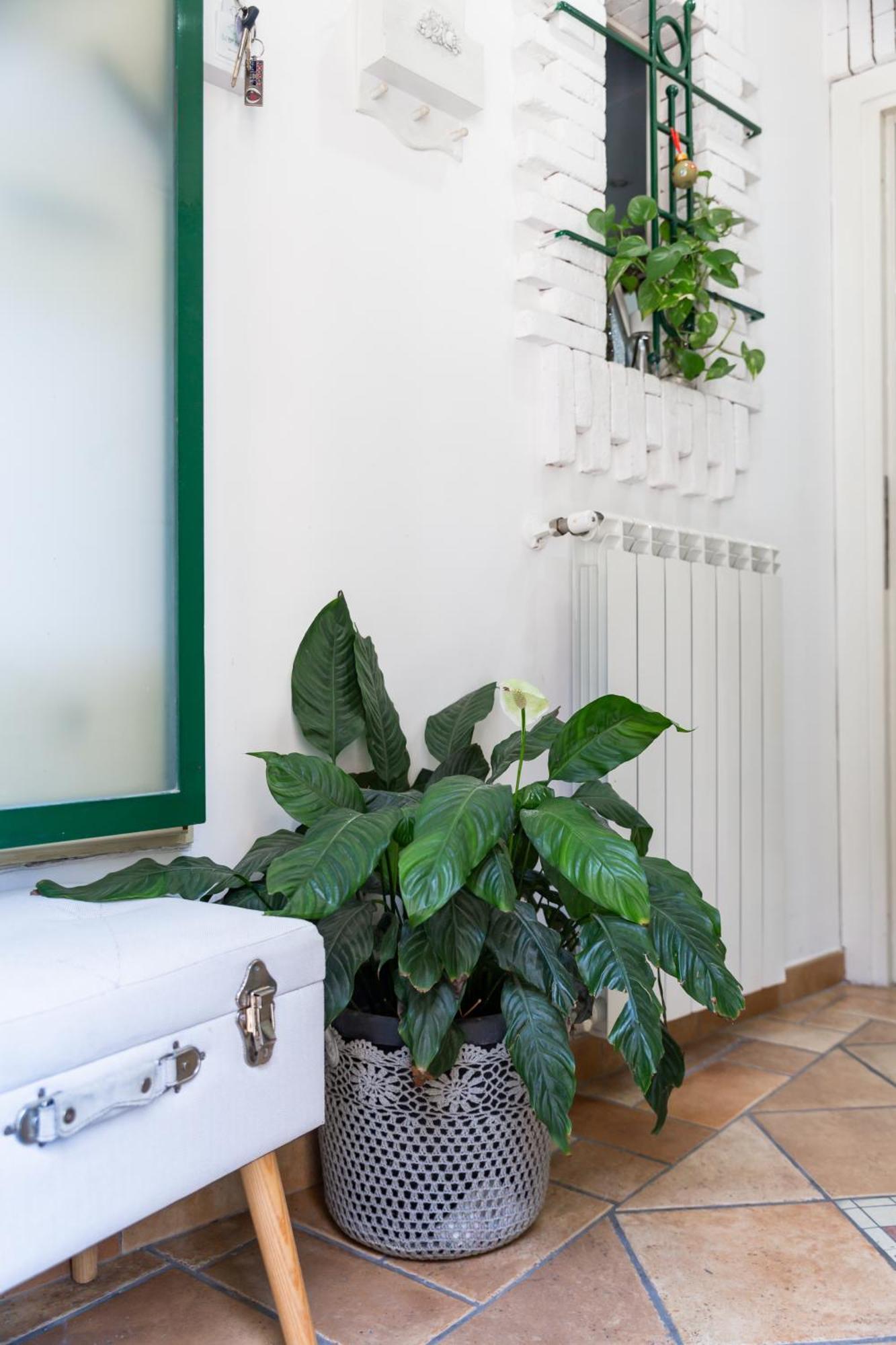 Flavia'S Home Napoli Exterior foto
